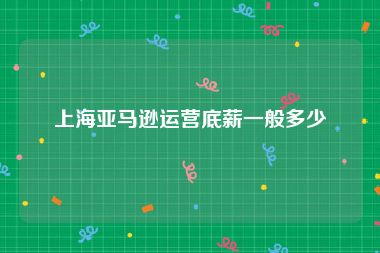 上海亚马逊运营底薪一般多少