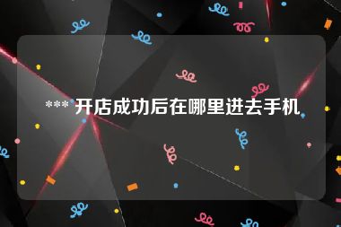  *** 开店成功后在哪里进去手机