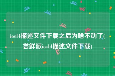ios14描述文件下载之后为啥不动了(尝鲜派ios14描述文件下载)