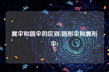 翼伞和圆伞的区别(圆形伞和翼形伞)