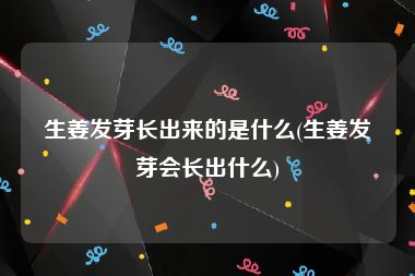 生姜发芽长出来的是什么(生姜发芽会长出什么)