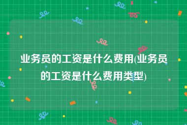 业务员的工资是什么费用(业务员的工资是什么费用类型)