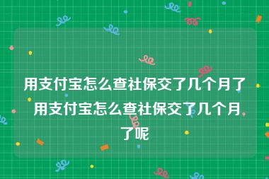 用支付宝怎么查社保交了几个月了 用支付宝怎么查社保交了几个月了呢