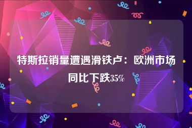 特斯拉销量遭遇滑铁卢：欧洲市场同比下跌35%