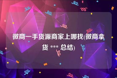 微商一手货源商家上哪找(微商拿货 *** 总结)