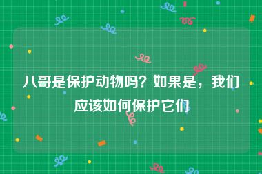 八哥是保护动物吗？如果是，我们应该如何保护它们