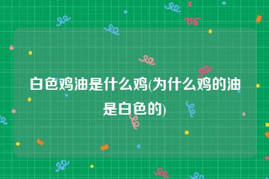 白色鸡油是什么鸡(为什么鸡的油是白色的)