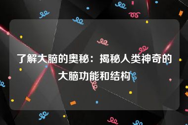 了解大脑的奥秘：揭秘人类神奇的大脑功能和结构