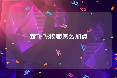 新飞飞牧师怎么加点