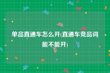 单品直通车怎么开(直通车竞品词能不能开)