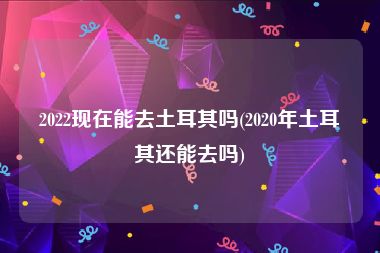 2022现在能去土耳其吗(2020年土耳其还能去吗)