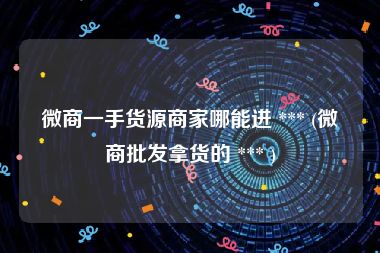 微商一手货源商家哪能进 *** (微商批发拿货的 *** )