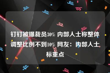 钉钉被曝裁员30% 内部人士称整体调整比例不到10% 网友：内部人士标重点
