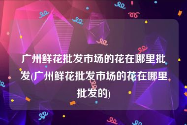 广州鲜花批发市场的花在哪里批发(广州鲜花批发市场的花在哪里批发的)