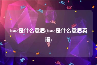 issue是什么意思(issue是什么意思英语)