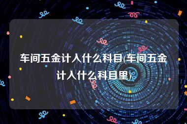 车间五金计入什么科目(车间五金计入什么科目里)