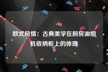 欧式风情：古典美学在厨房油烟机收纳柜上的体现