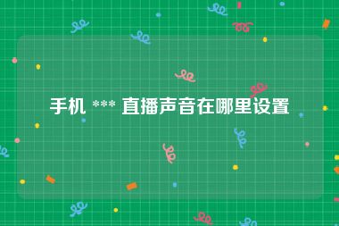 手机 *** 直播声音在哪里设置