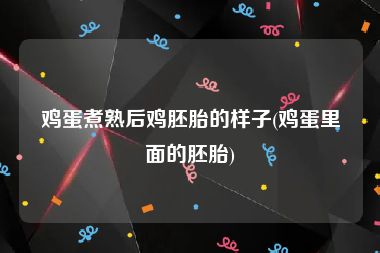 鸡蛋煮熟后鸡胚胎的样子(鸡蛋里面的胚胎)