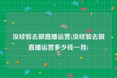 没经验去做直播运营(没经验去做直播运营多少钱一月)