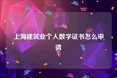 上海建筑业个人数字证书怎么申请