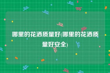哪里的花洒质量好(哪里的花洒质量好安全)