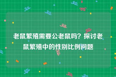 老鼠繁殖需要公老鼠吗？探讨老鼠繁殖中的性别比例问题
