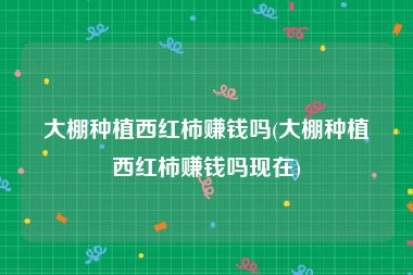 大棚种植西红柿赚钱吗(大棚种植西红柿赚钱吗现在)