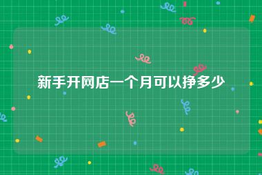 新手开网店一个月可以挣多少