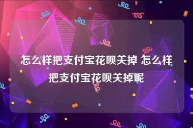 怎么样把支付宝花呗关掉 怎么样把支付宝花呗关掉呢