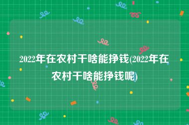 2022年在农村干啥能挣钱(2022年在农村干啥能挣钱呢)