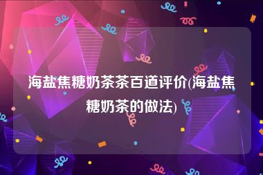 海盐焦糖奶茶茶百道评价(海盐焦糖奶茶的做法)