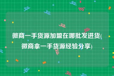 微商一手货源加盟在哪批发进货(微商拿一手货源经验分享)