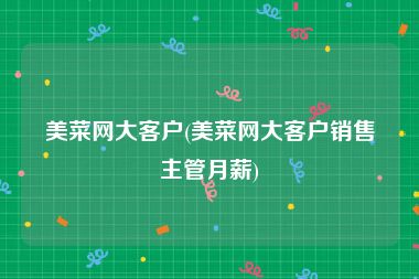 美菜网大客户(美菜网大客户销售主管月薪)