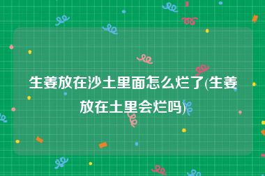 生姜放在沙土里面怎么烂了(生姜放在土里会烂吗)