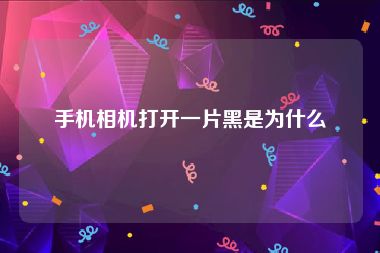 手机相机打开一片黑是为什么