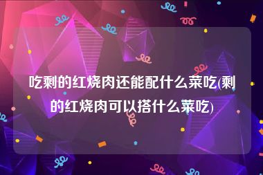 吃剩的红烧肉还能配什么菜吃(剩的红烧肉可以搭什么菜吃)