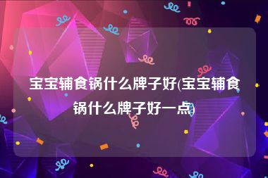 宝宝辅食锅什么牌子好(宝宝辅食锅什么牌子好一点)