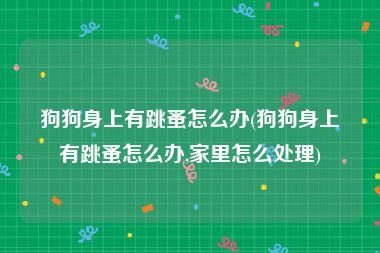 狗狗身上有跳蚤怎么办(狗狗身上有跳蚤怎么办,家里怎么处理)