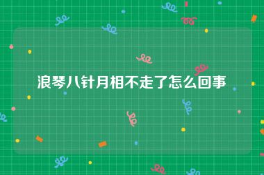 浪琴八针月相不走了怎么回事