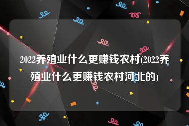 2022养殖业什么更赚钱农村(2022养殖业什么更赚钱农村河北的)
