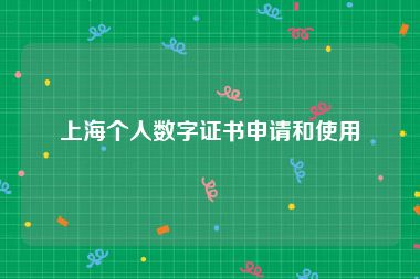 上海个人数字证书申请和使用
