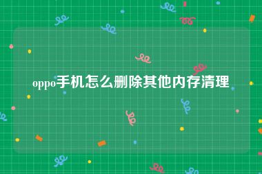 oppo手机怎么删除其他内存清理