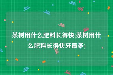 茶树用什么肥料长得快(茶树用什么肥料长得快牙最多)