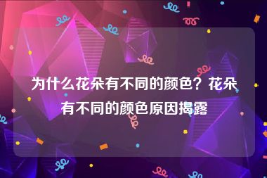 为什么花朵有不同的颜色？花朵有不同的颜色原因揭露