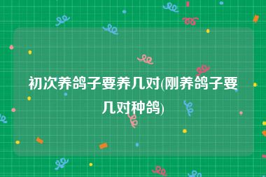 初次养鸽子要养几对(刚养鸽子要几对种鸽)