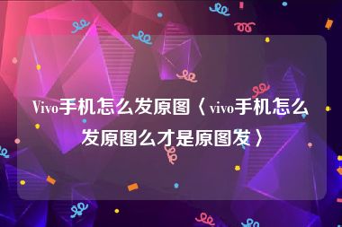 Vivo手机怎么发原图〈vivo手机怎么发原图么才是原图发〉