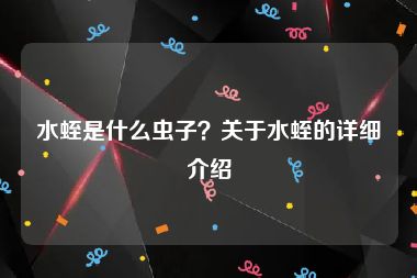 水蛭是什么虫子？关于水蛭的详细介绍