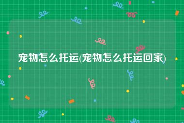 宠物怎么托运(宠物怎么托运回家)