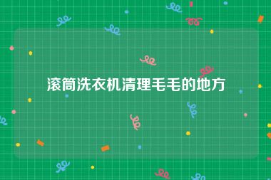 滚筒洗衣机清理毛毛的地方